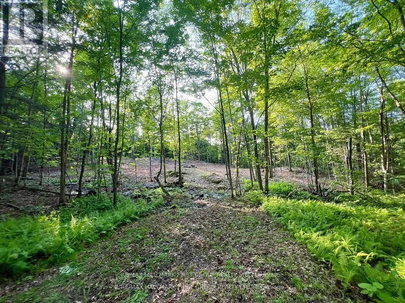 678 CENTREVIEW ROAD