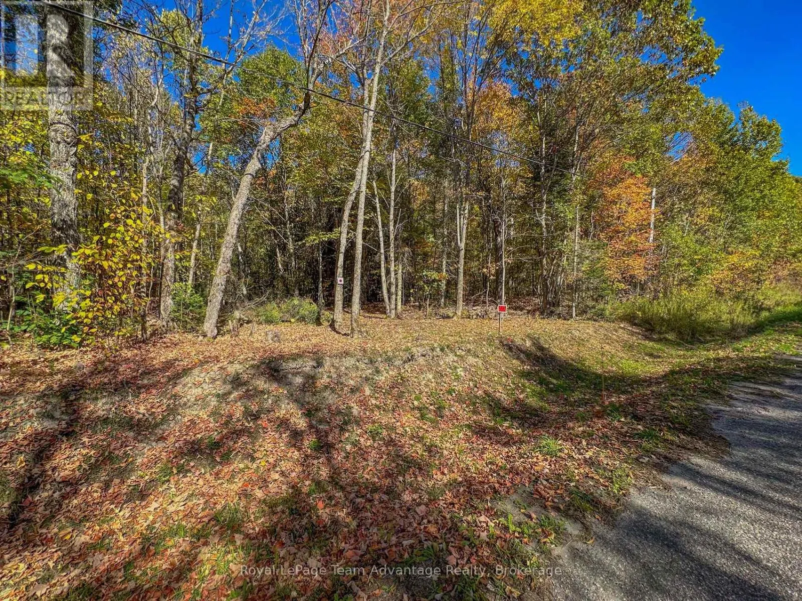 0 TURTLE LAKE ROAD