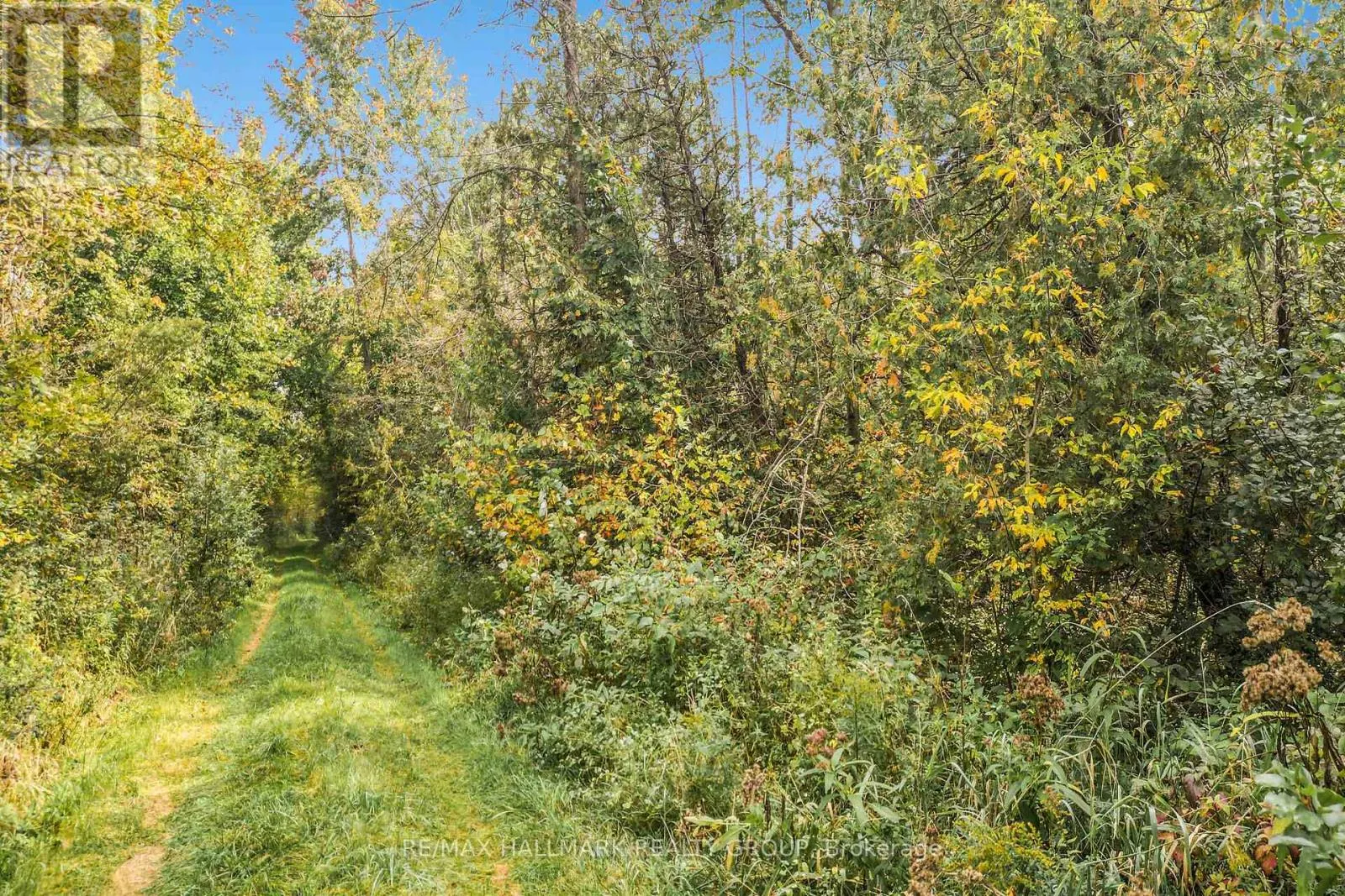 00 GILLIES CORNERS SIDE ROAD