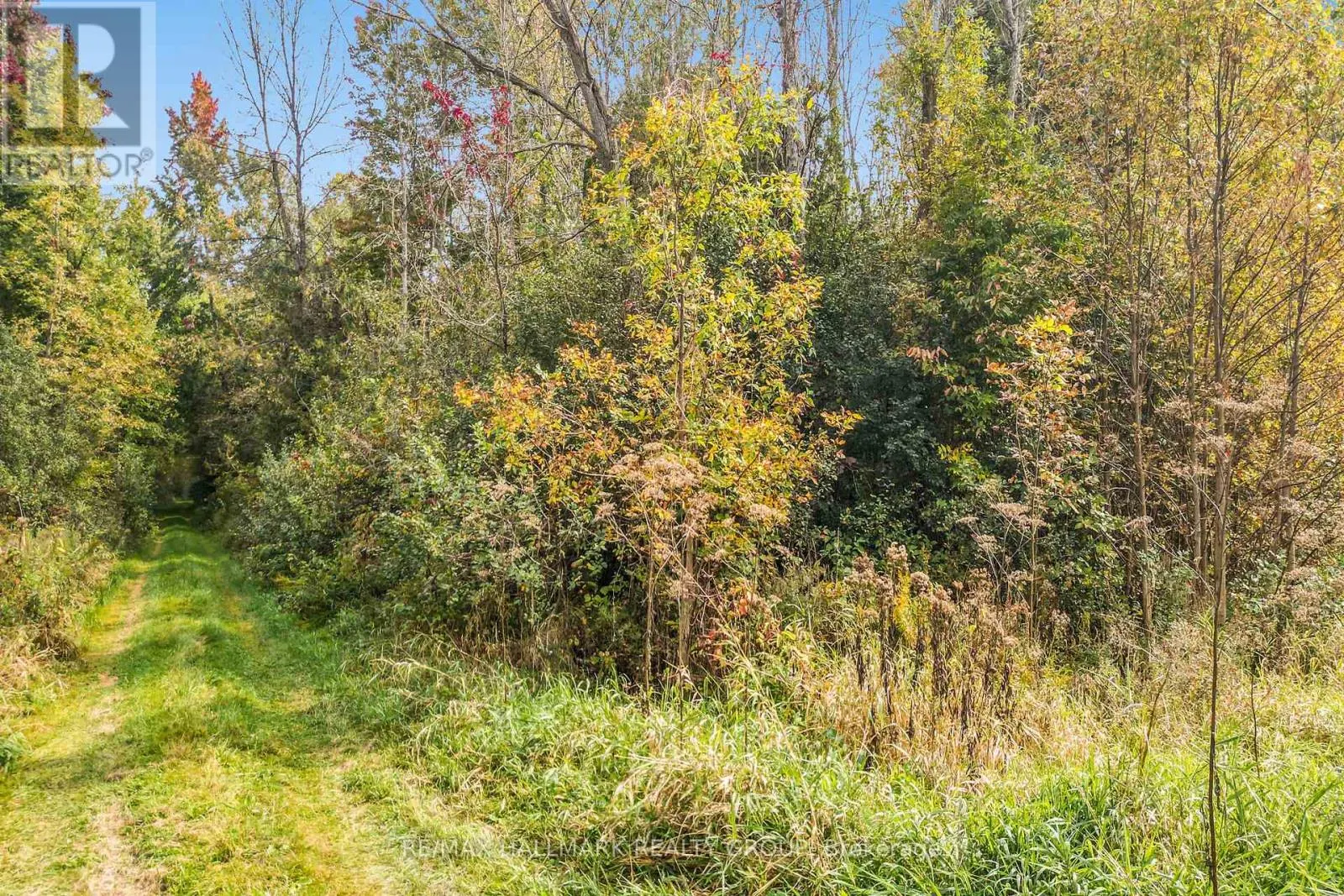 00 GILLIES CORNERS SIDE ROAD