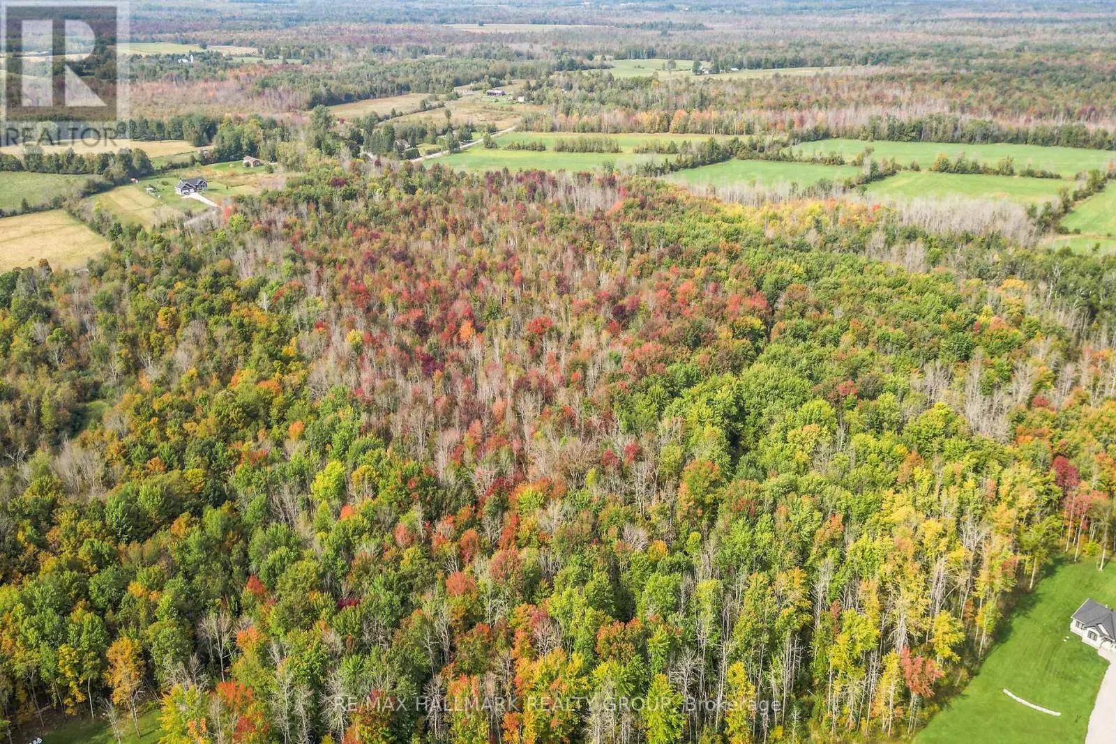 00 GILLIES CORNERS SIDE ROAD