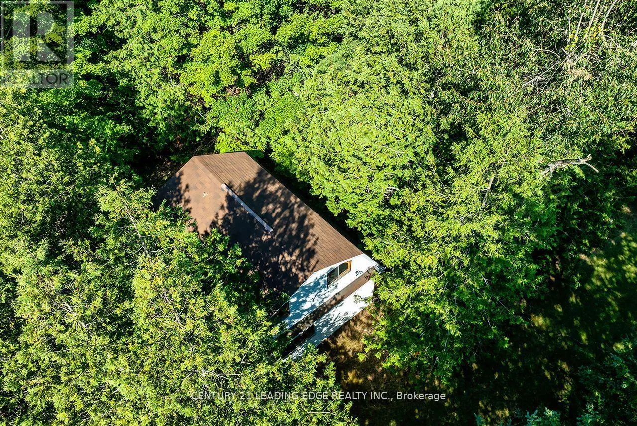 529 SAWMILL ROAD