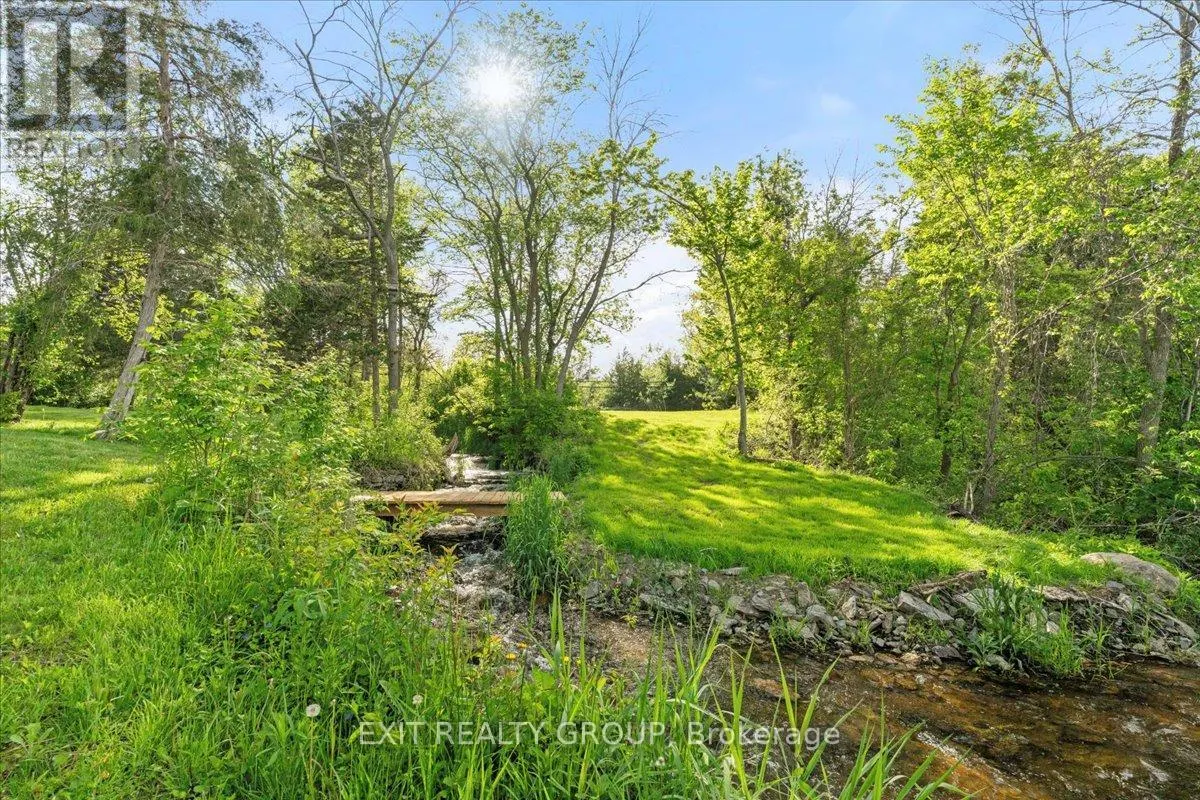 782 COUNTY RD 49