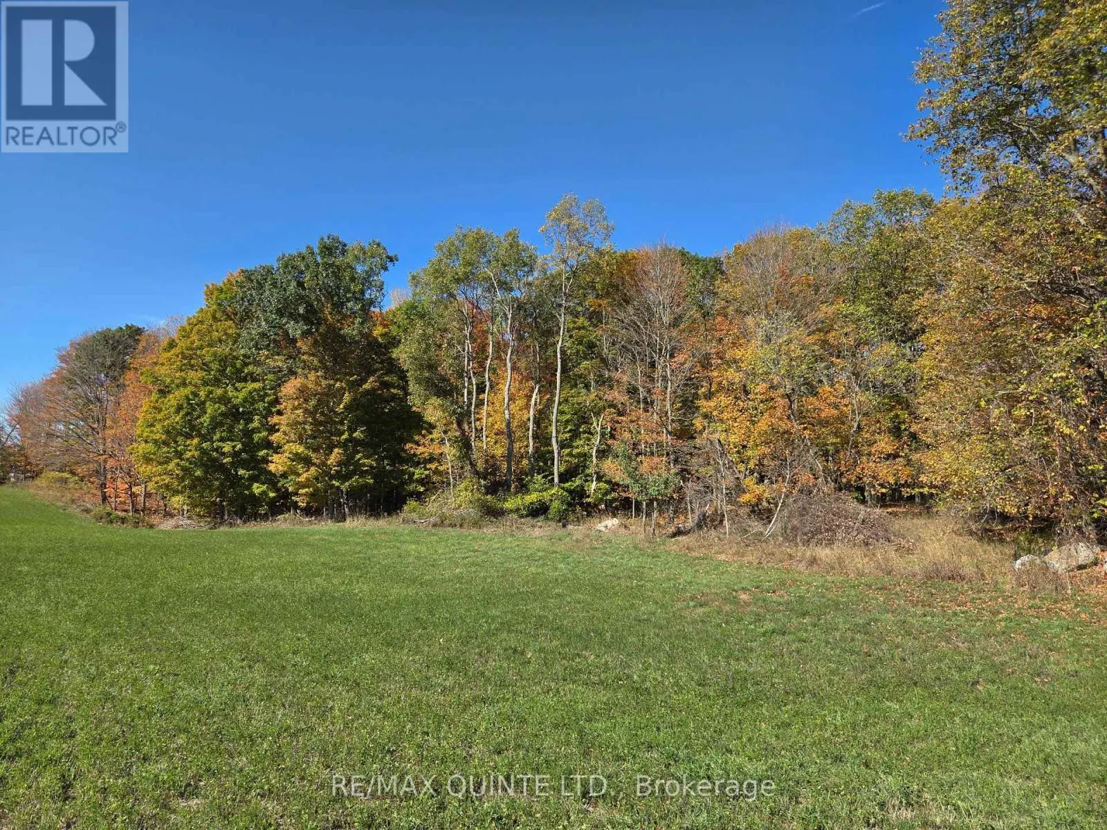 551 MARLBANK ROAD