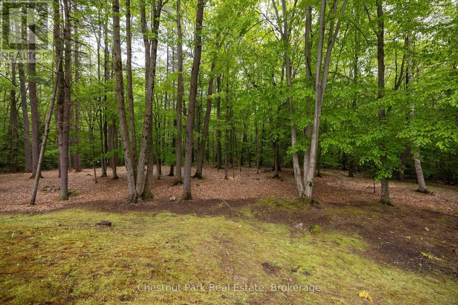 3711 BRUNEL ROAD