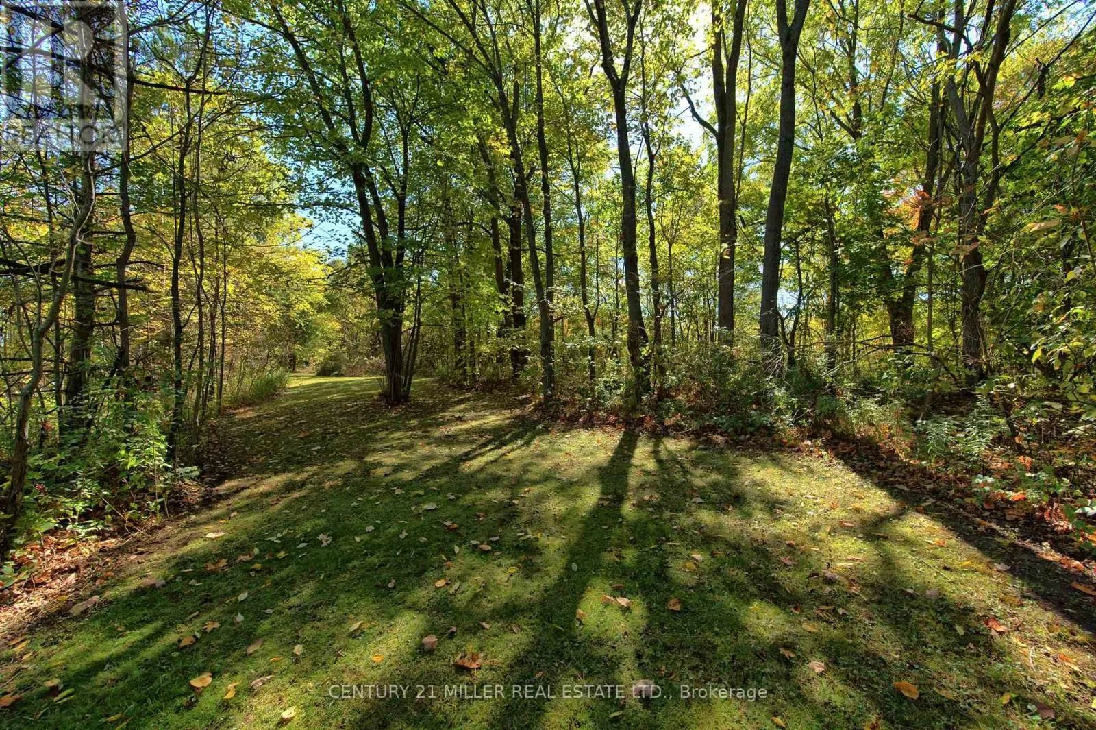 99 MCBAY ROAD