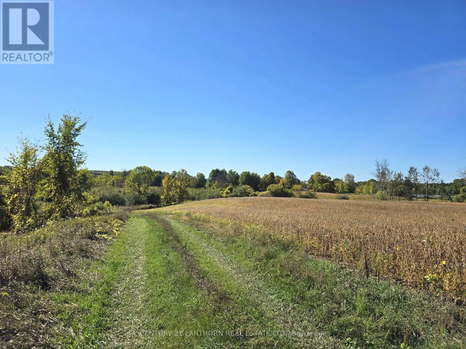 242 RIVER VALLEY ROAD