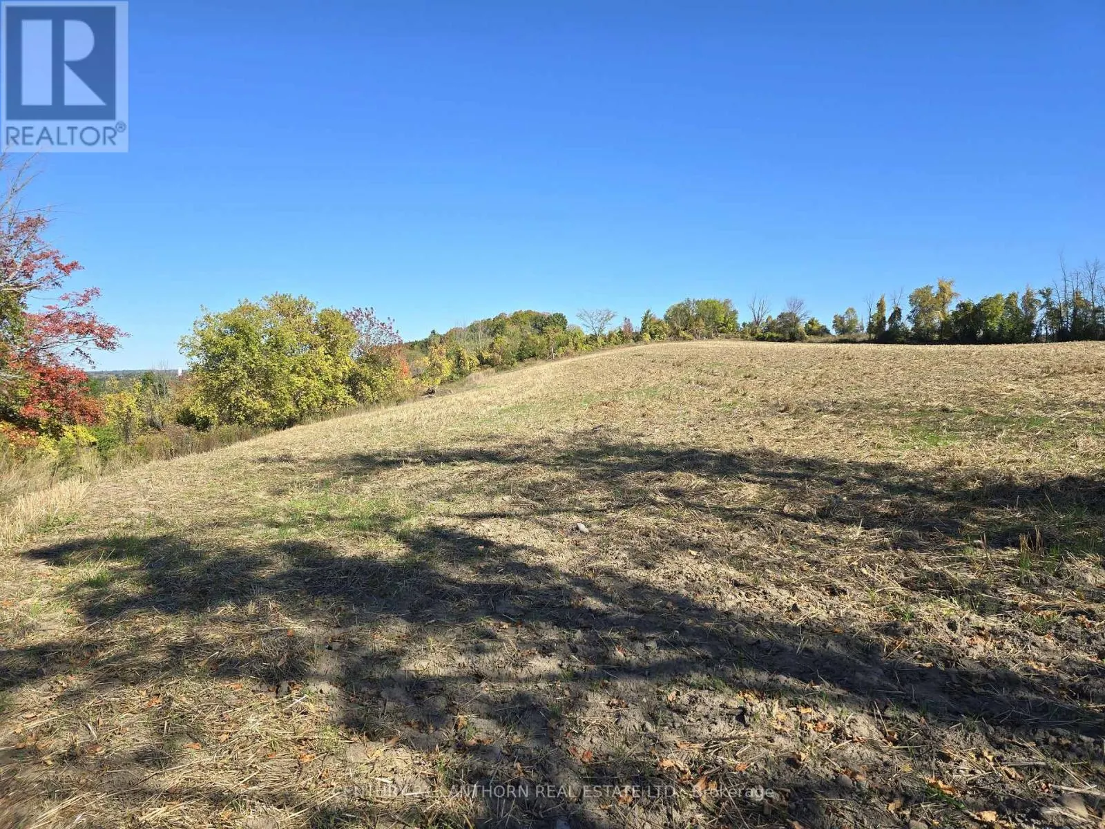 242 RIVER VALLEY ROAD