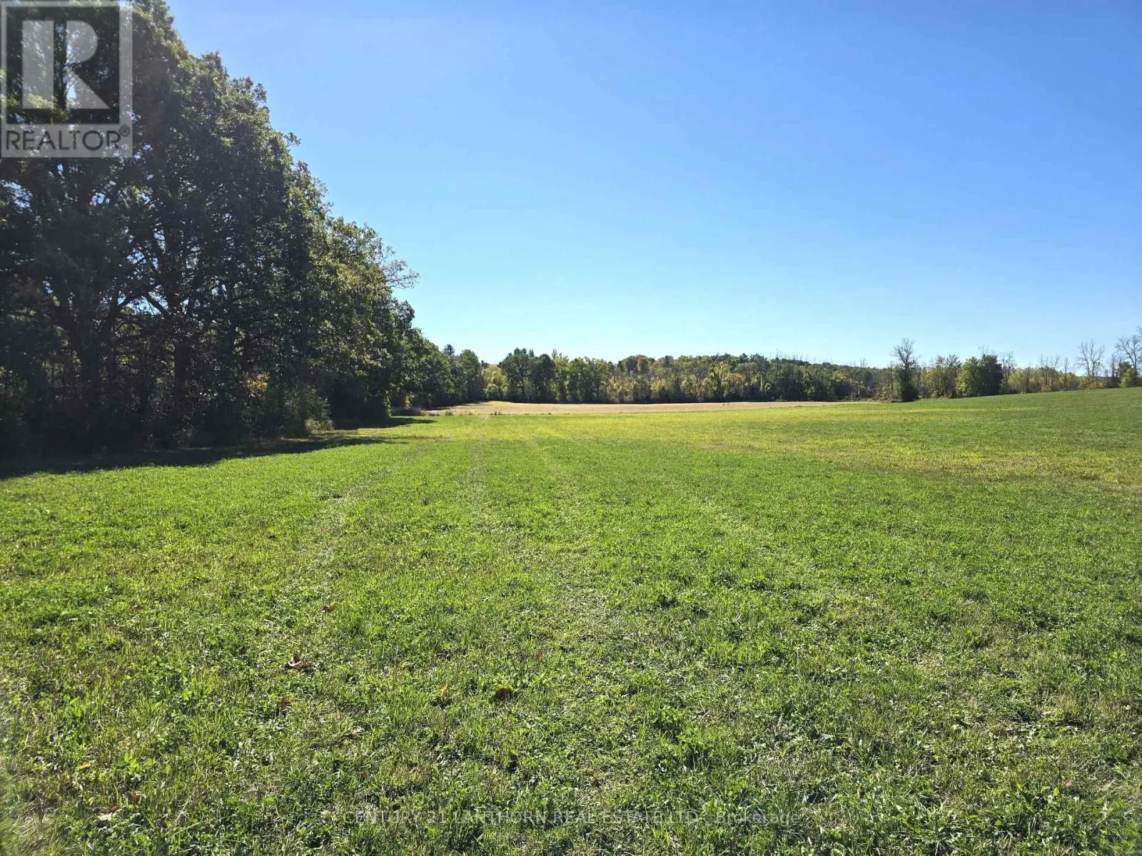 242 RIVER VALLEY ROAD