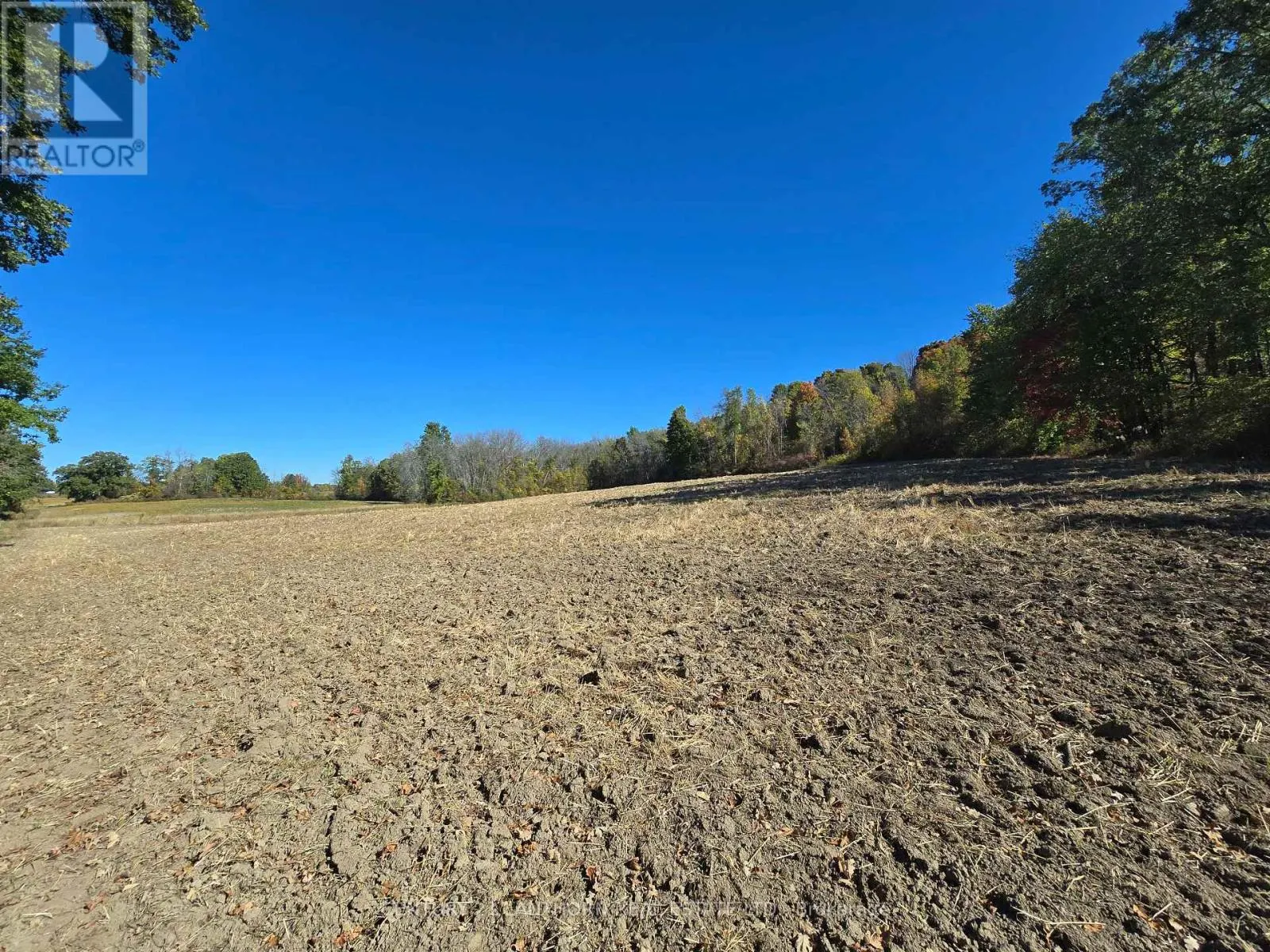 242 RIVER VALLEY ROAD
