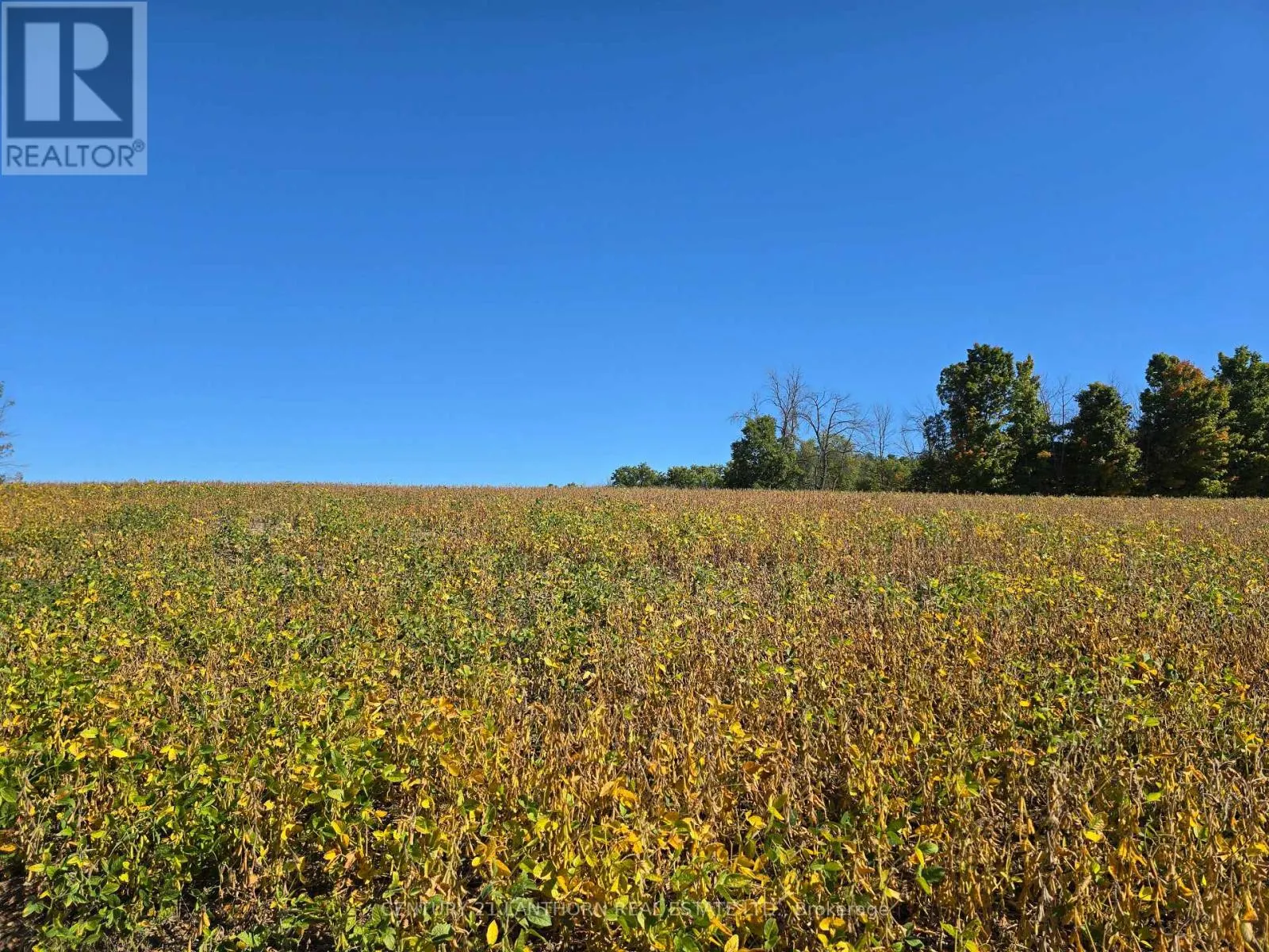 242 RIVER VALLEY ROAD