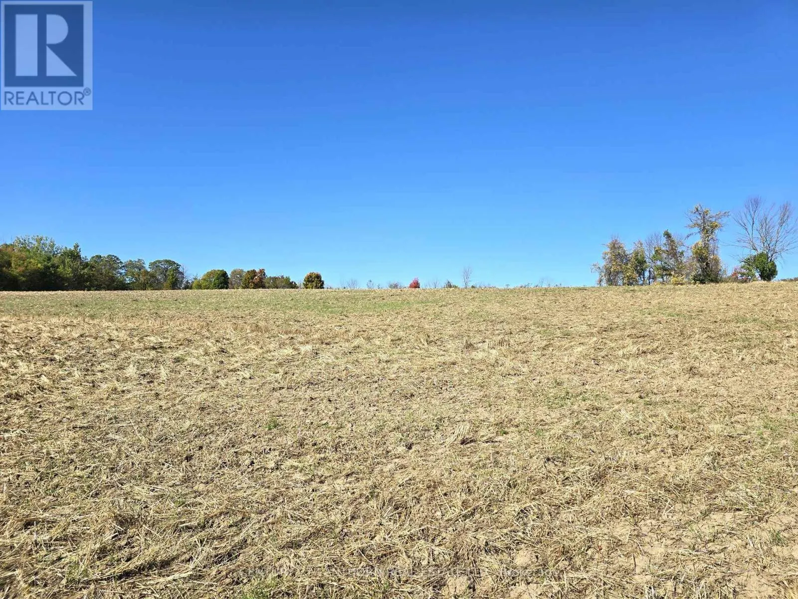242 RIVER VALLEY ROAD