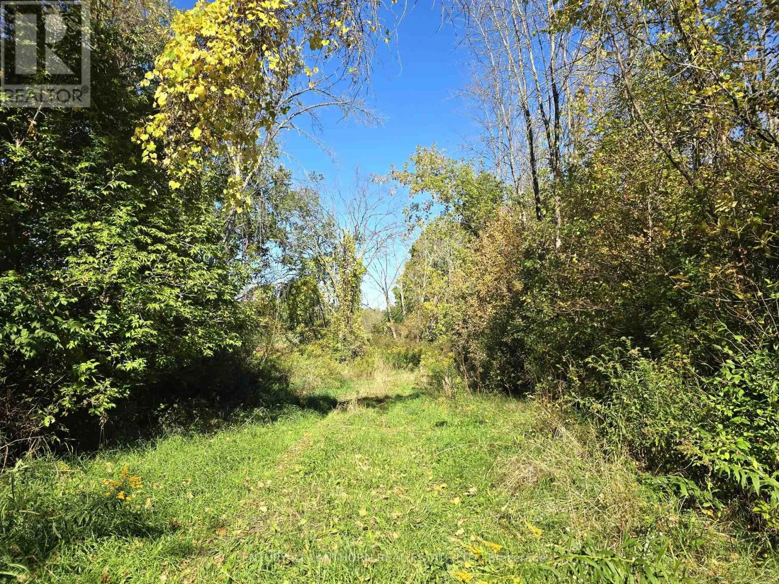 242 RIVER VALLEY ROAD