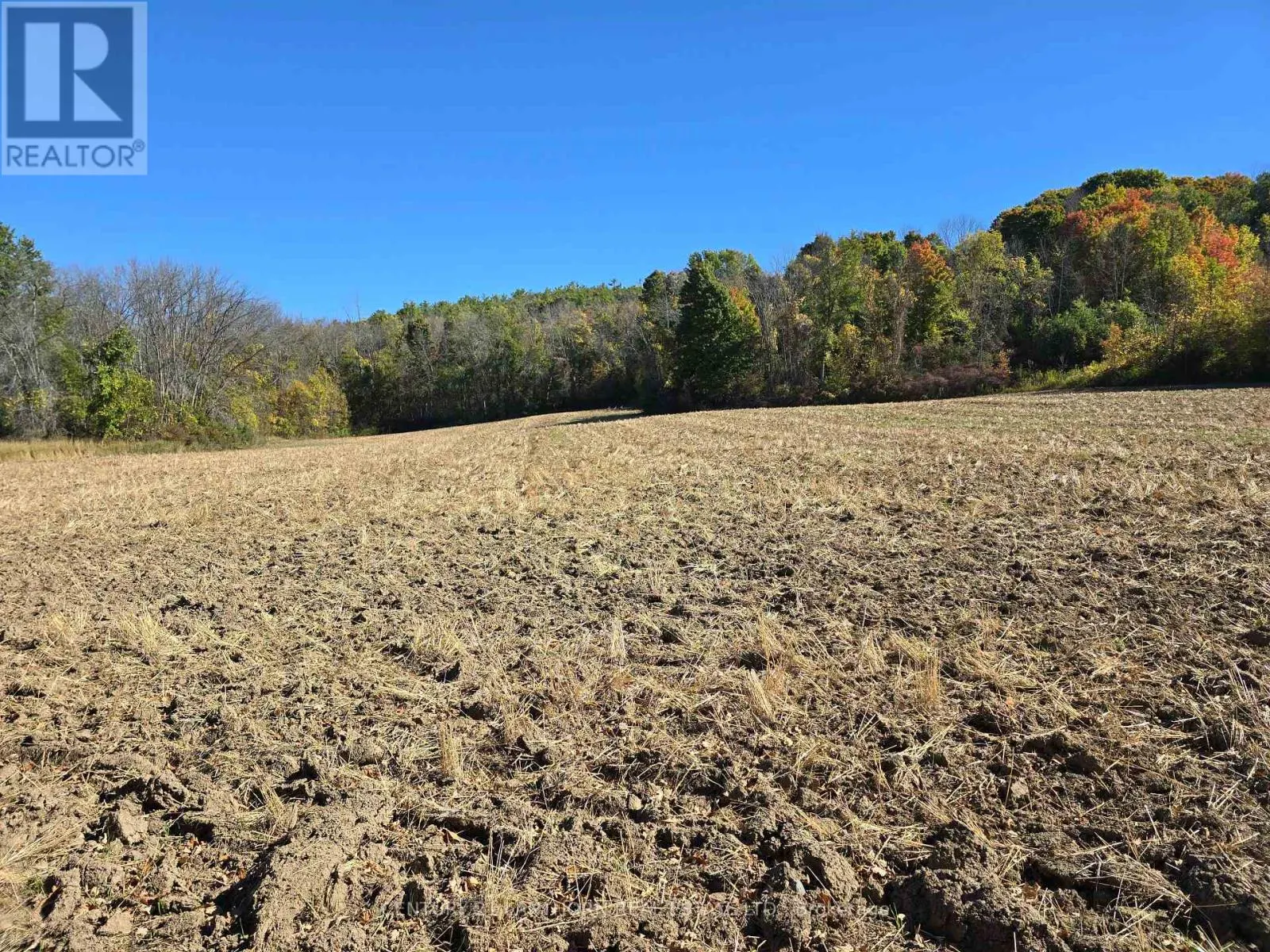 242 RIVER VALLEY ROAD