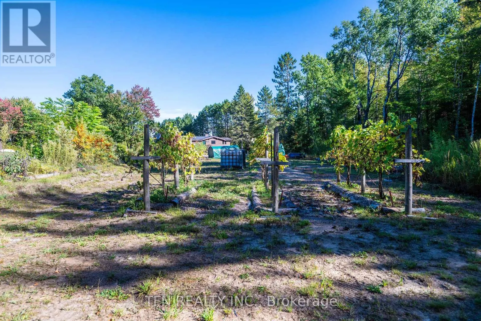 110 MACHAR STRONG BOUNDARY ROAD W