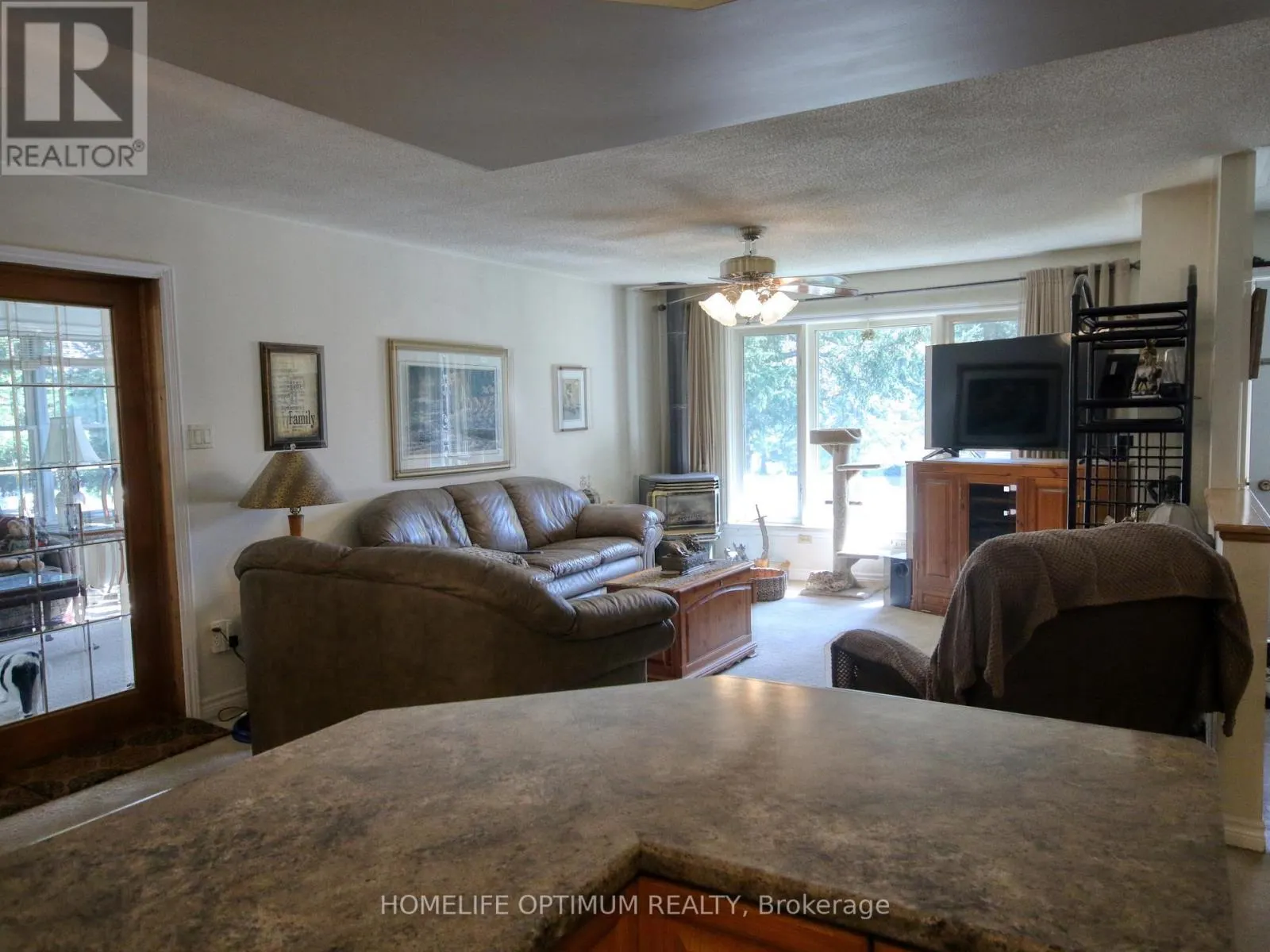 228 PIRATES GLEN DRIVE