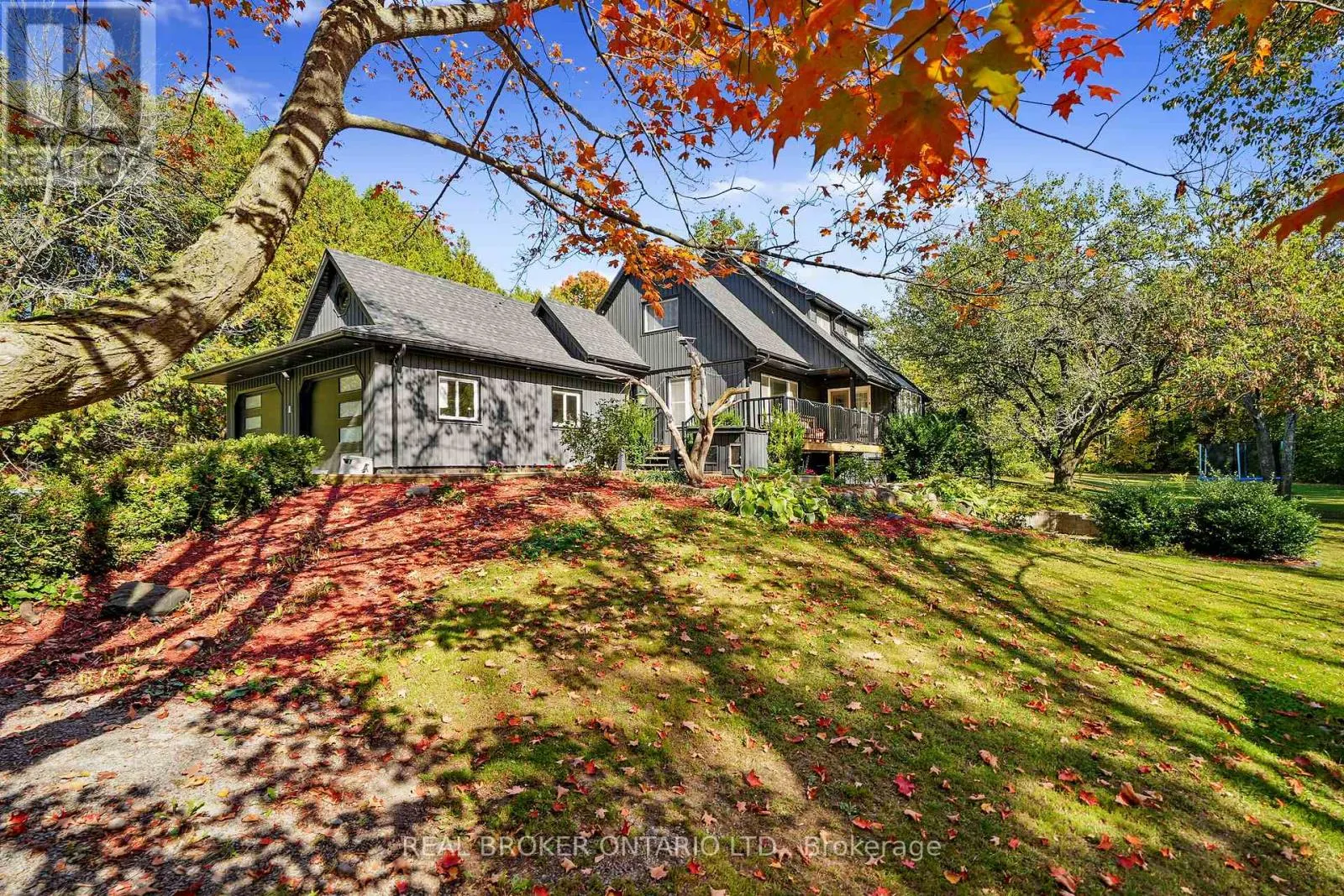 203 BULLIS ROAD