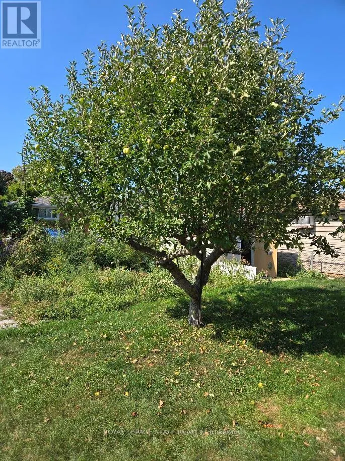 139 NUGENT DRIVE