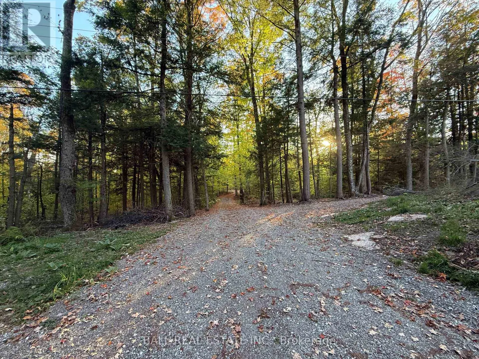 133 FIRE ROUTE 214