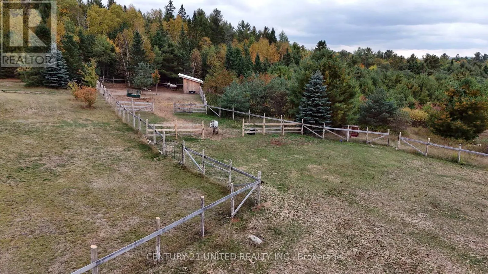31 MCLEAN ROAD