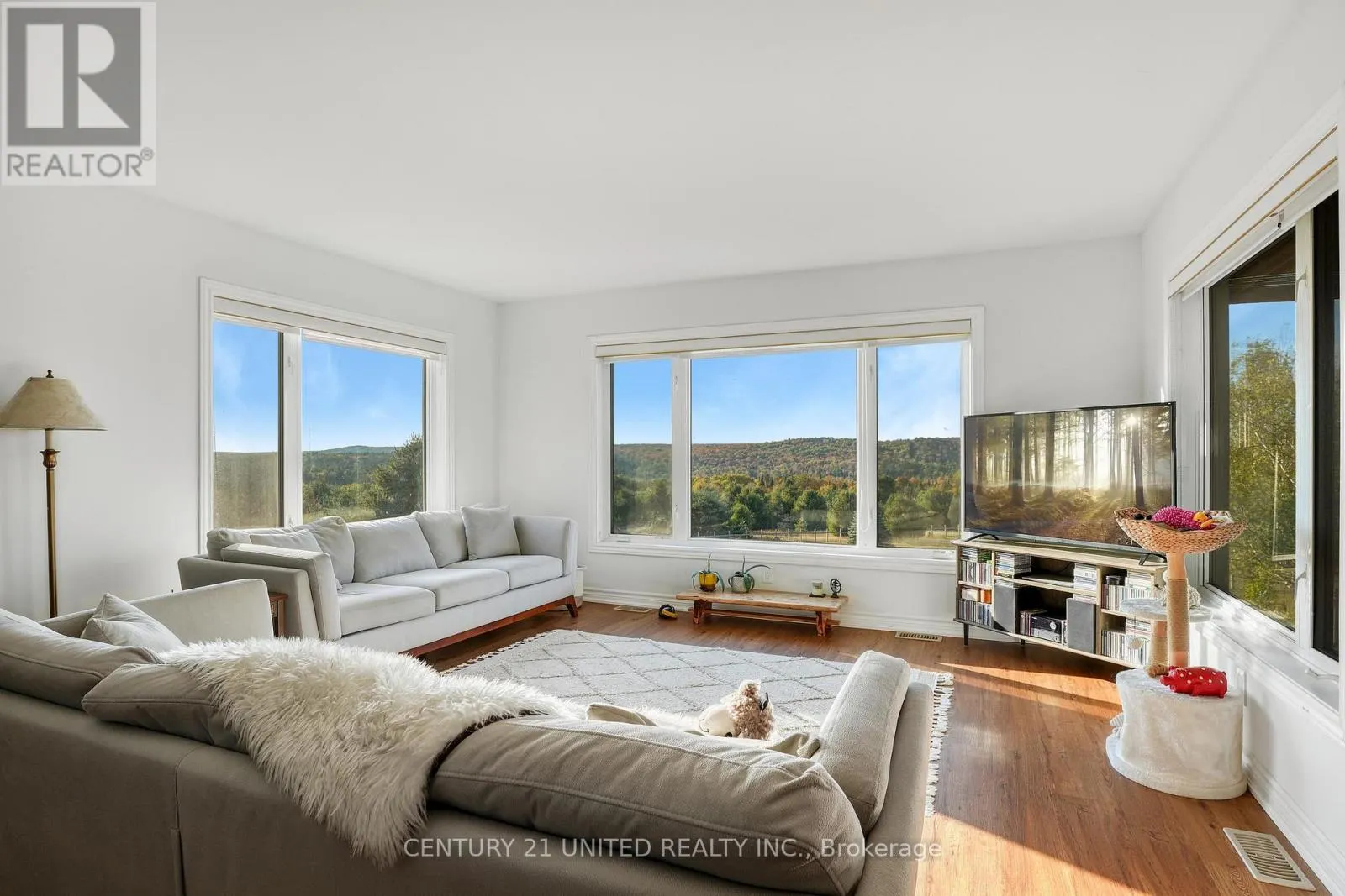 31 MCLEAN ROAD