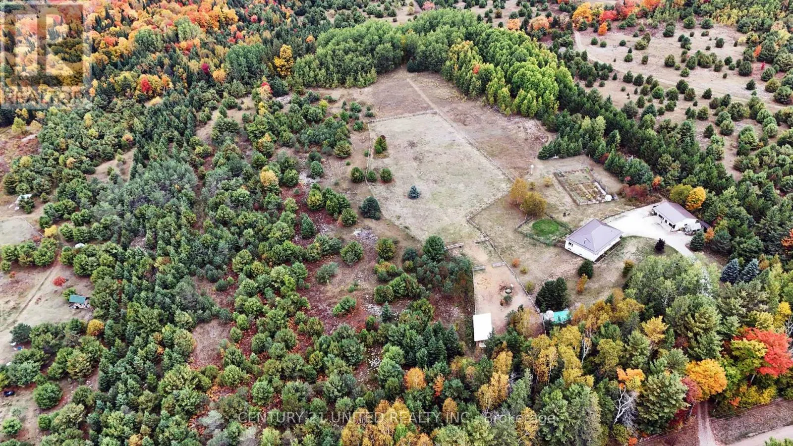 31 MCLEAN ROAD