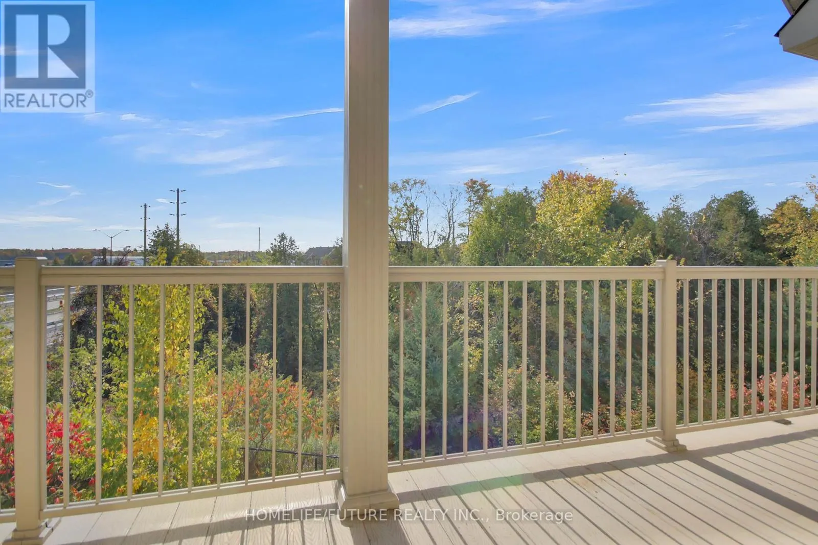 J - 366 WOOD ACRES GROVE