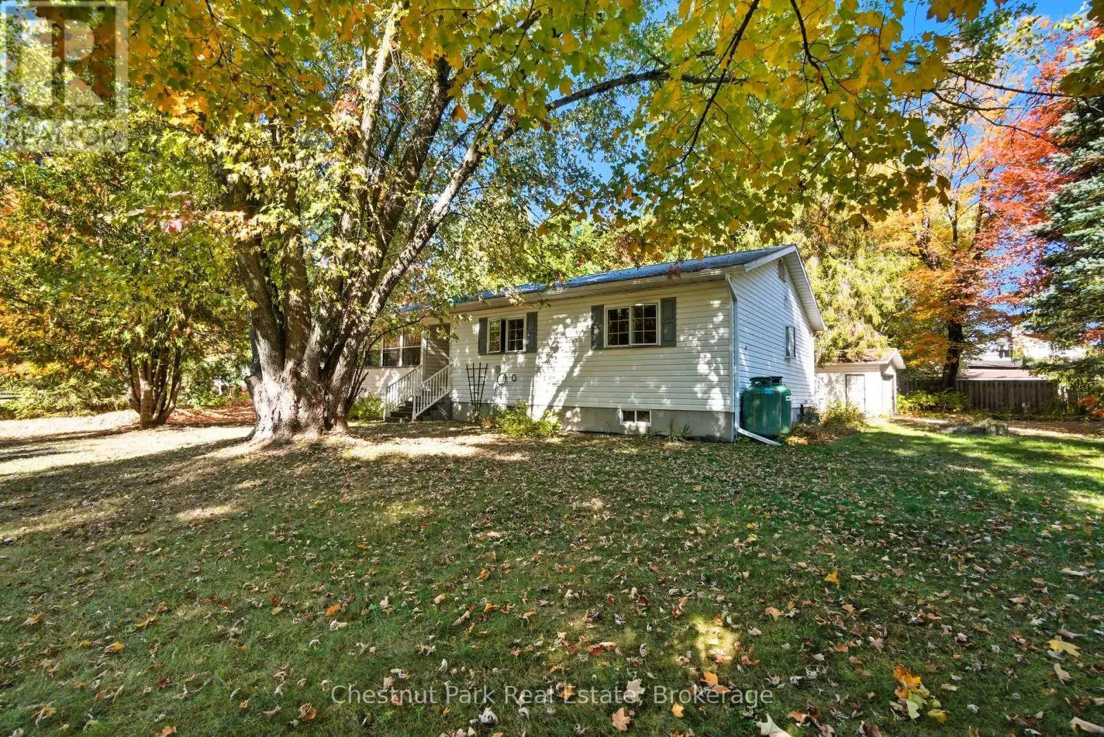 14 DICKIE STREET