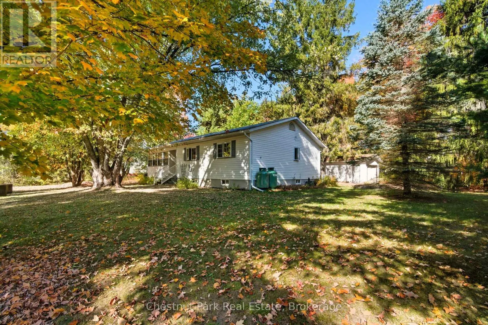 14 DICKIE STREET