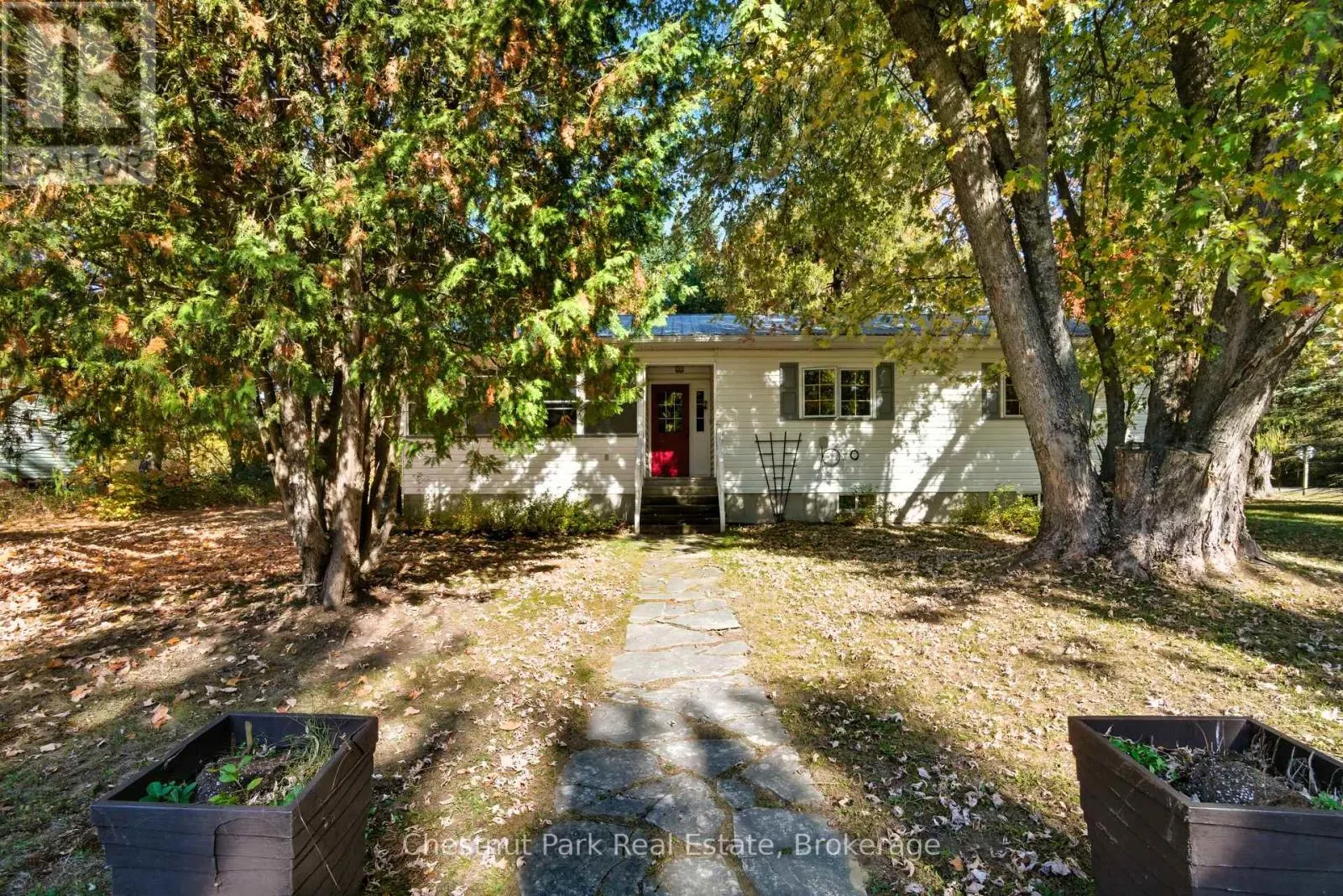 14 DICKIE STREET