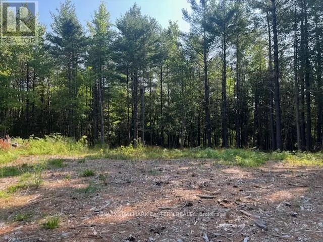 942 BALMER ROAD