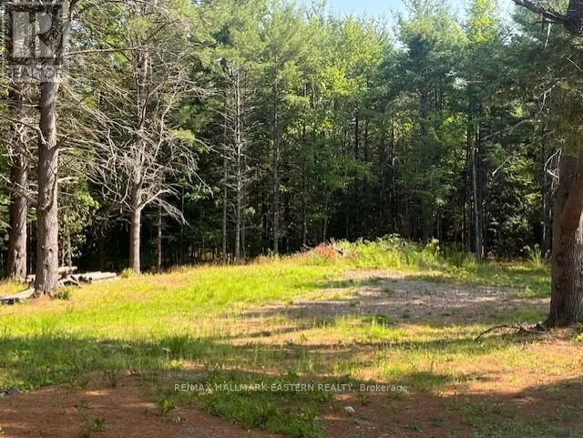 942 BALMER ROAD