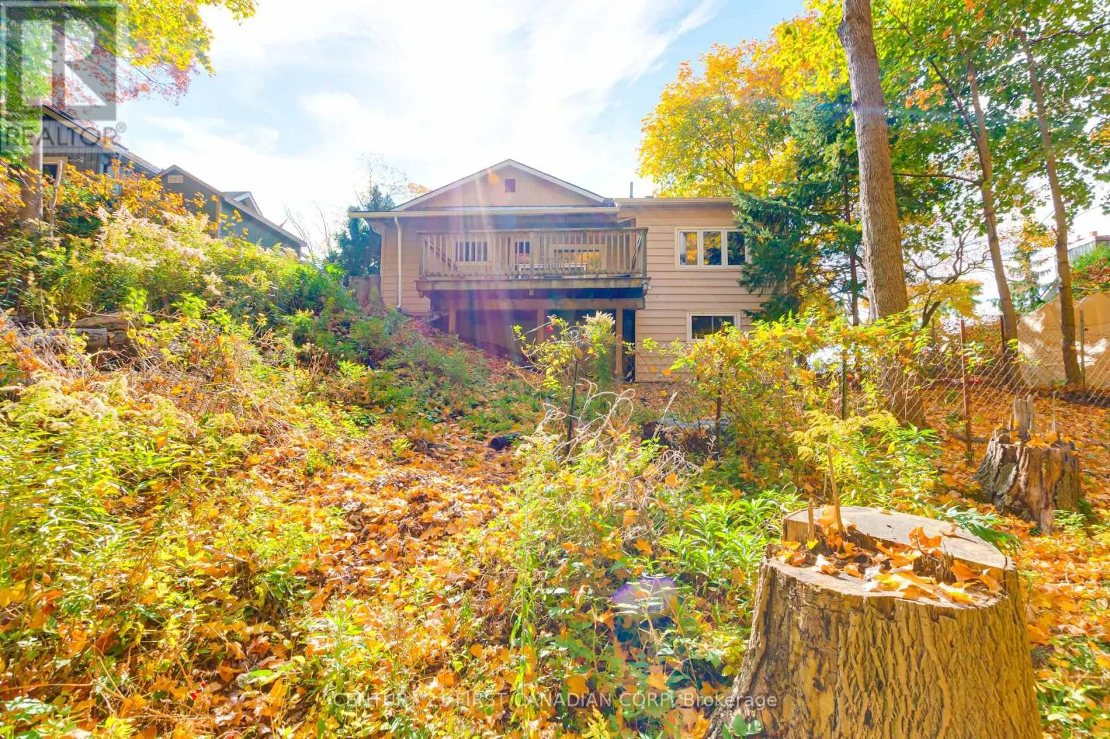 161 BRAYSIDE STREET