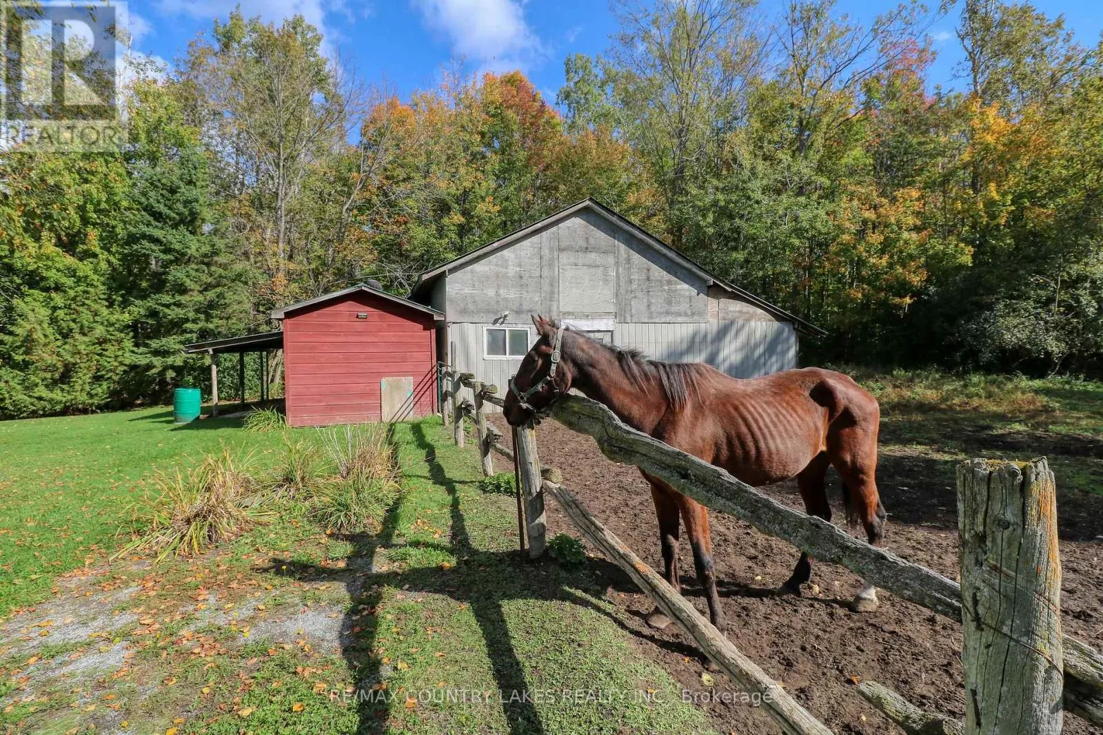 1364 FARMS ROAD