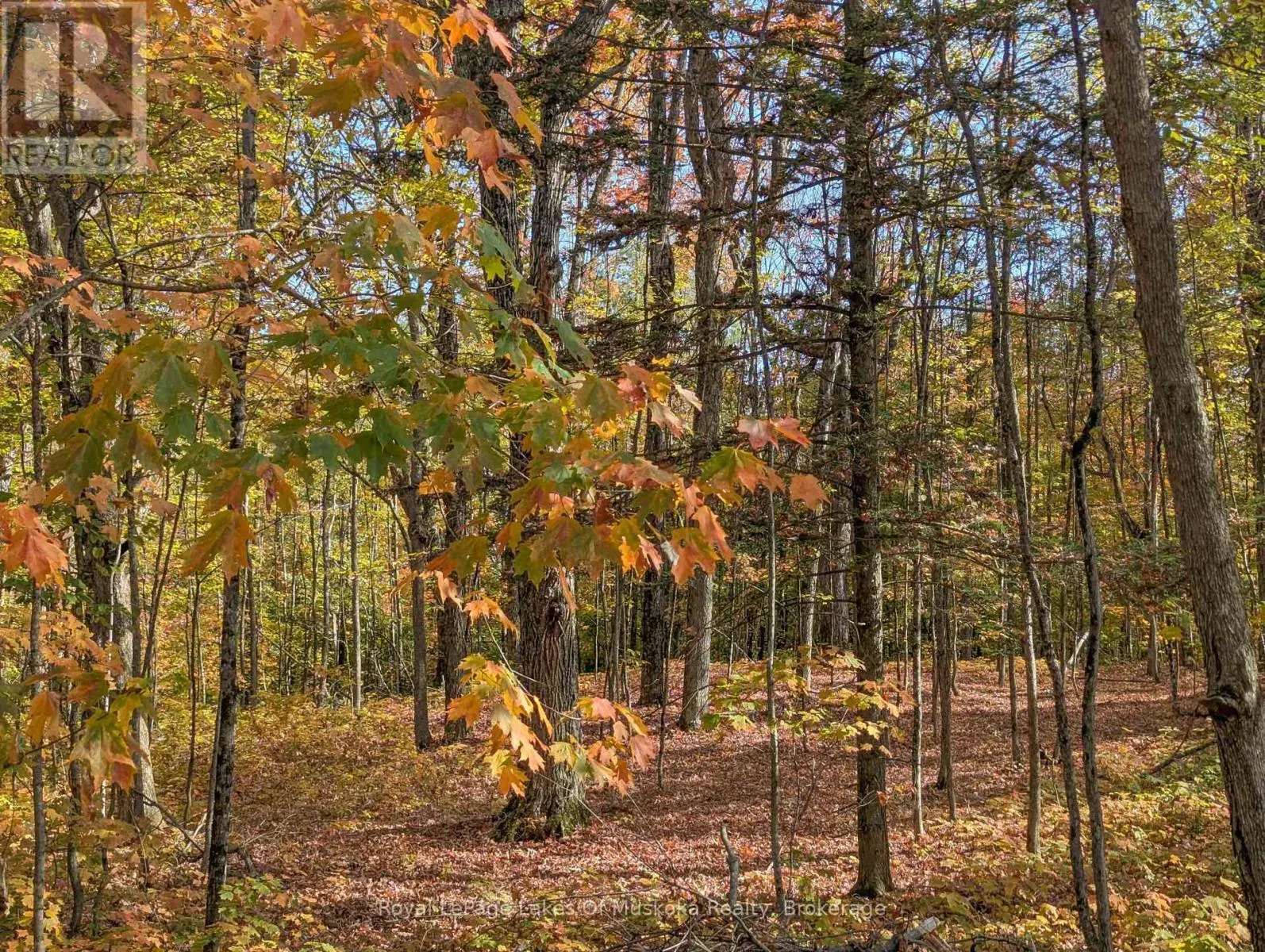 1779 MUSKOKA RD 118 ROAD W