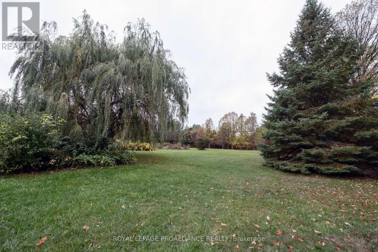 208 RITZ ROAD