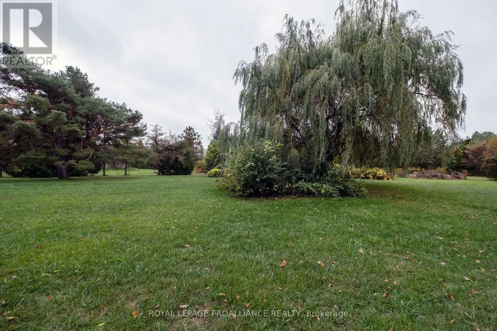 208 RITZ ROAD
