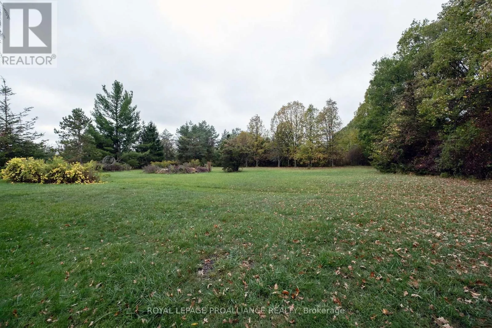 208 RITZ ROAD