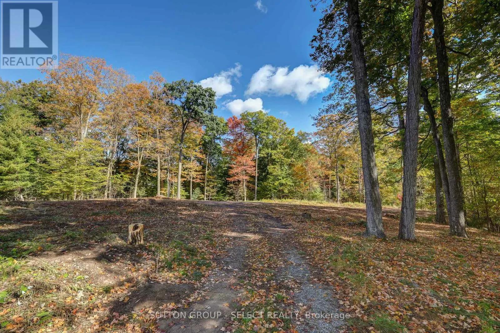 2564 WOODHULL ROAD