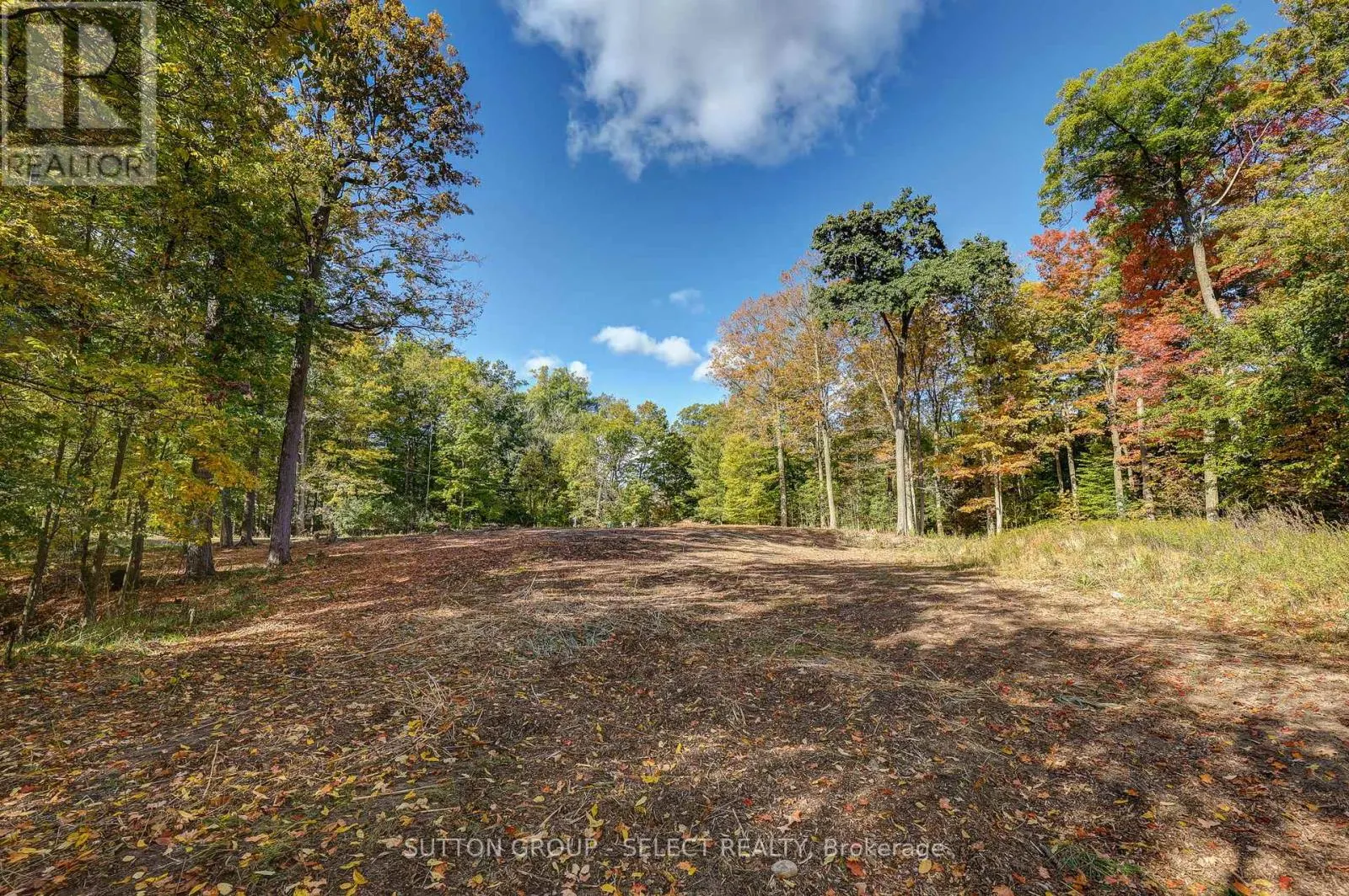 2564 WOODHULL ROAD