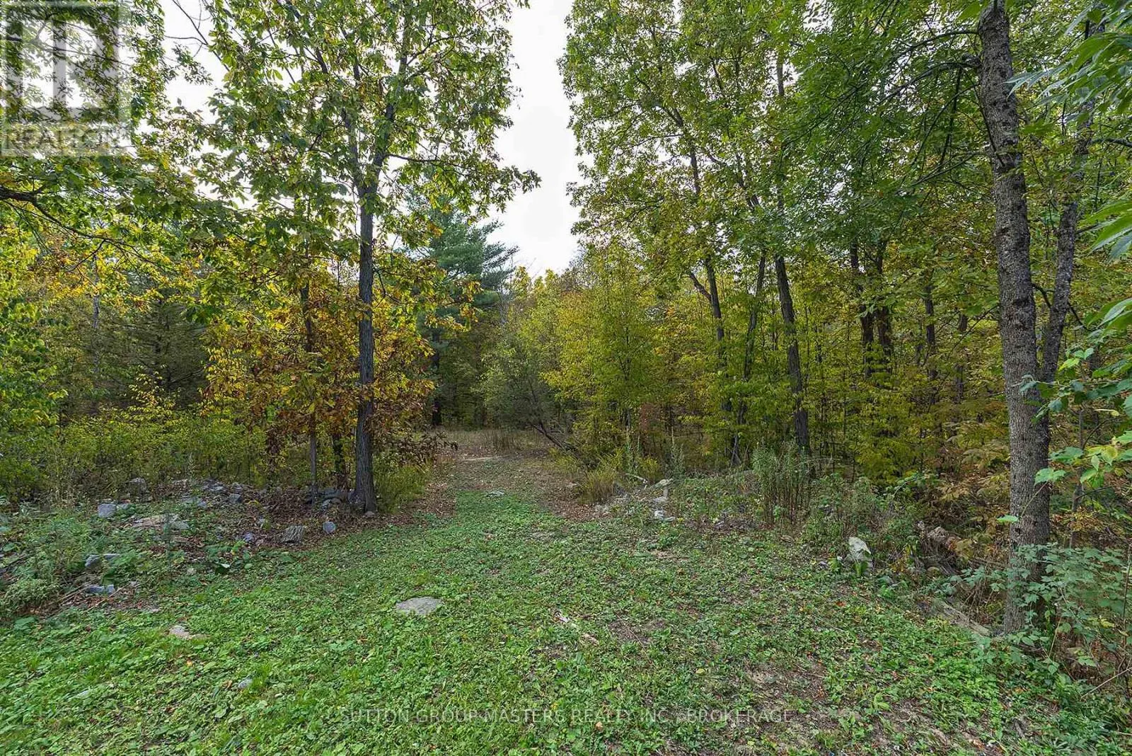 1175 RITCHIE ROAD