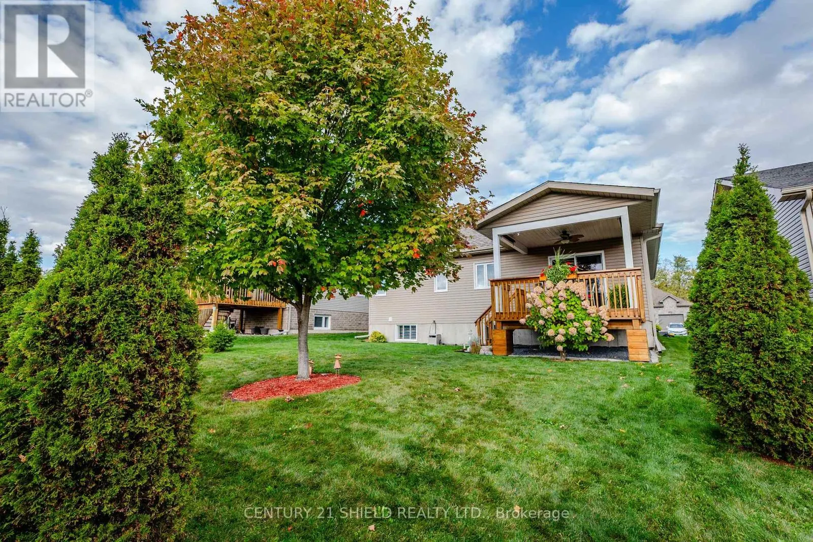1341 ARBA COURT