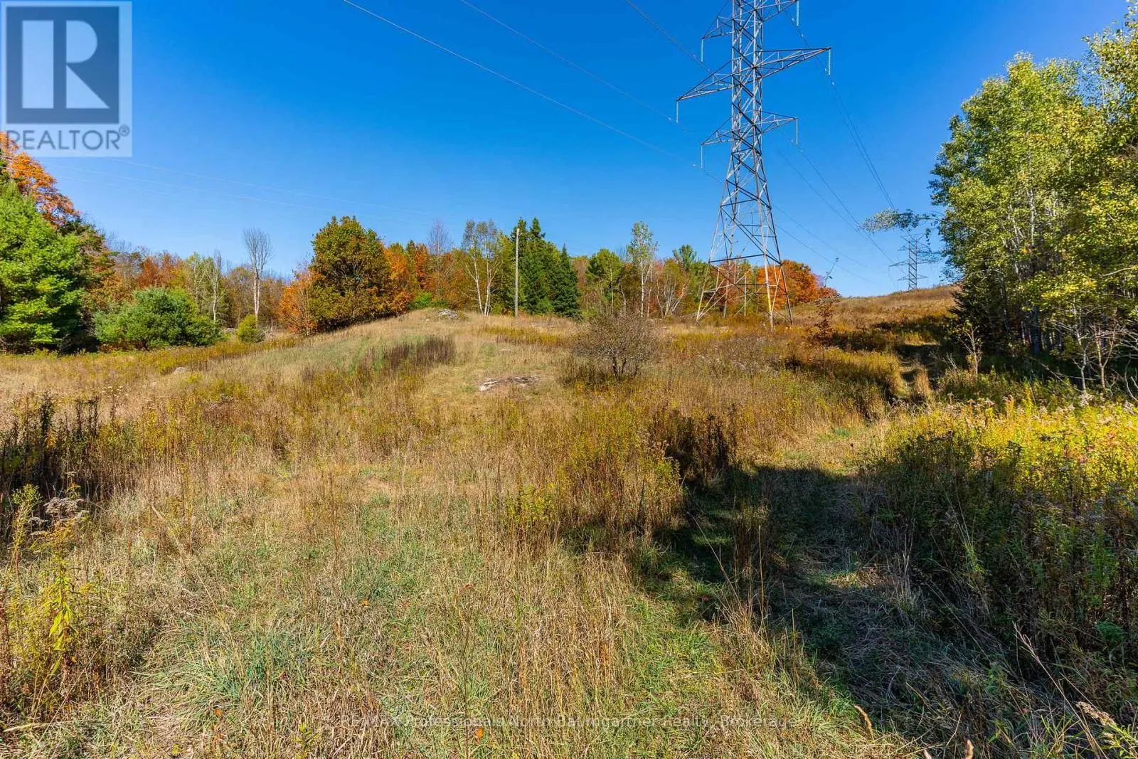 1297 BETHEL ROAD
