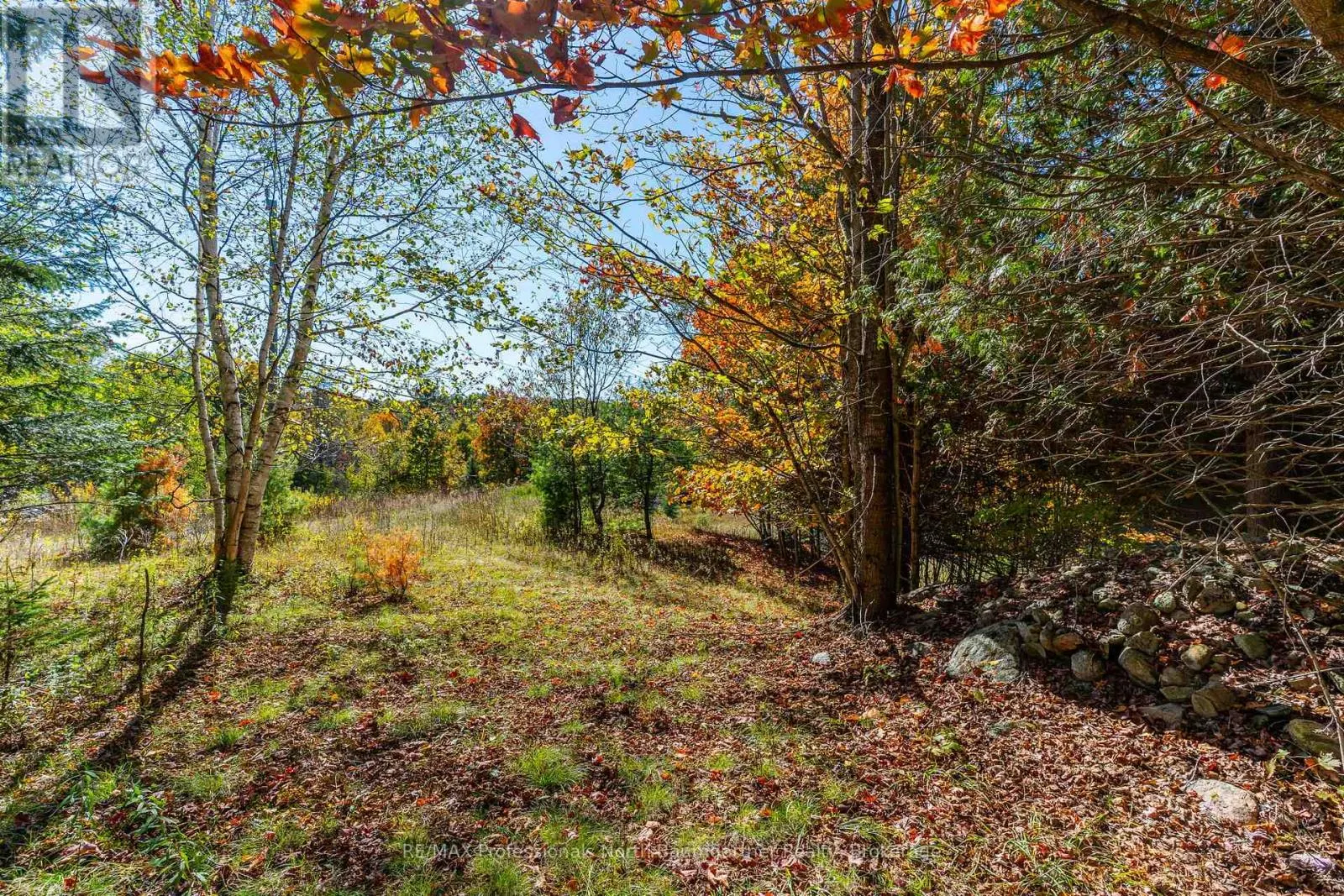 1297 BETHEL ROAD
