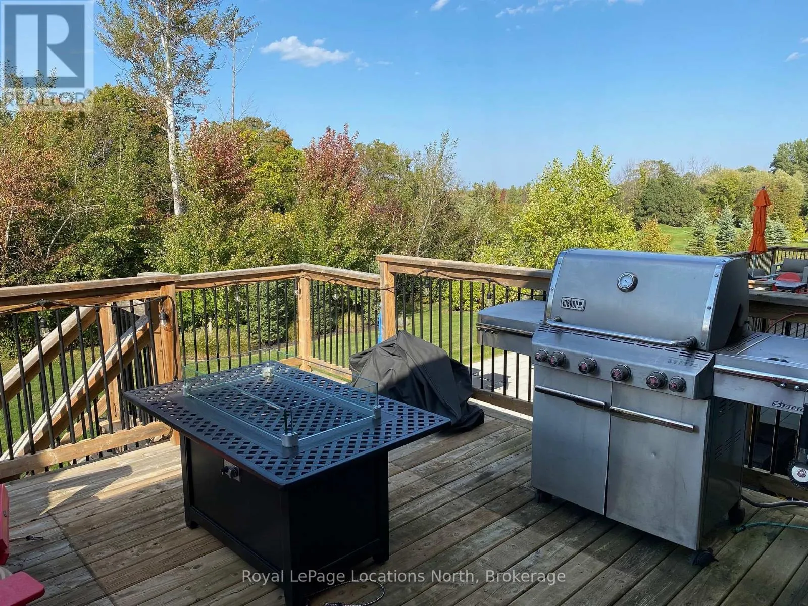 119 CRESTVIEW COURT