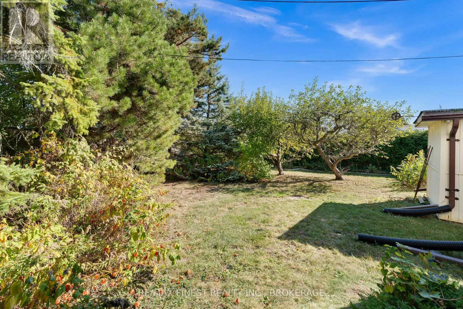 85 HOLLAND CRESCENT