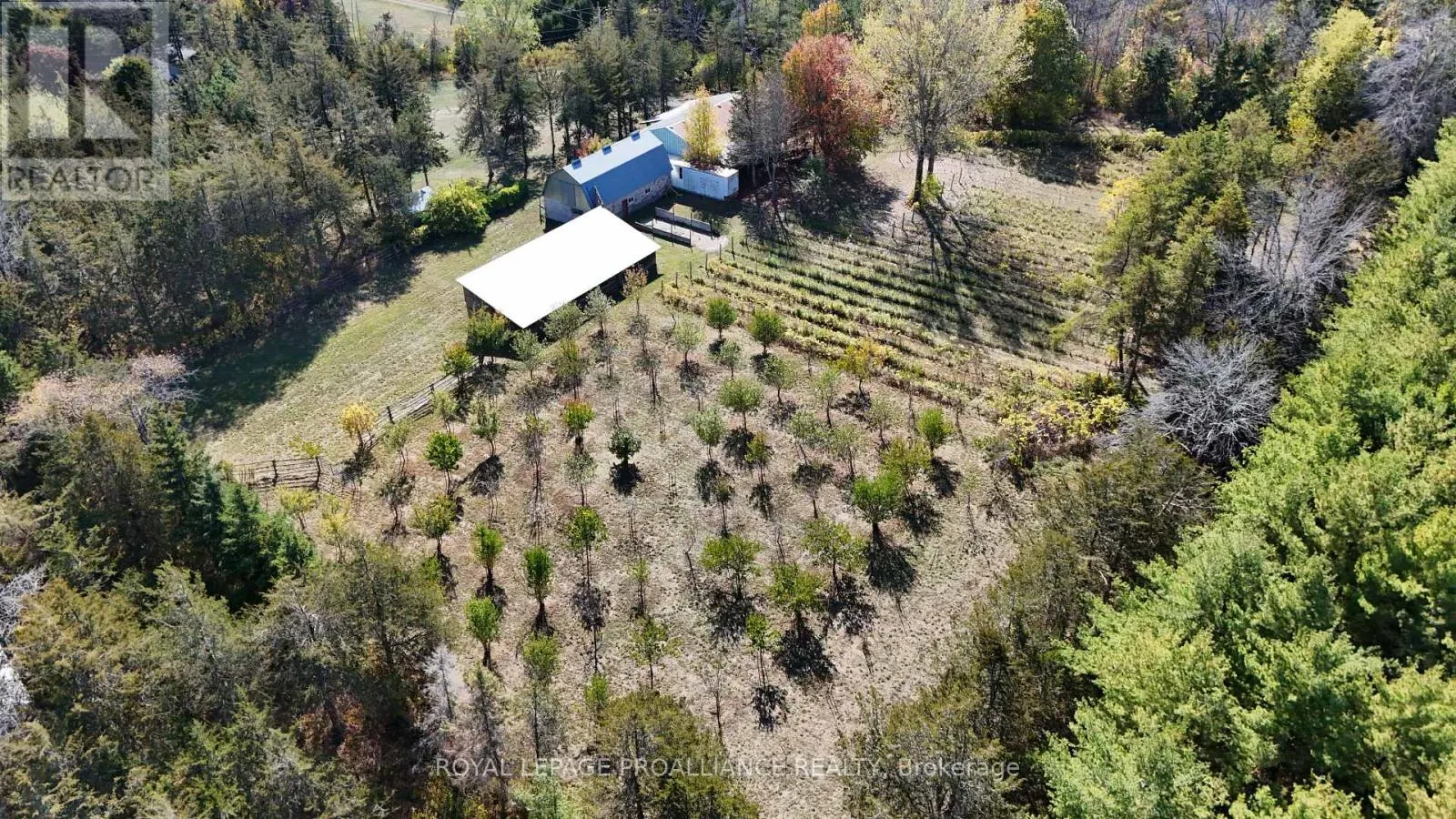 4563 COUNTY ROAD 9
