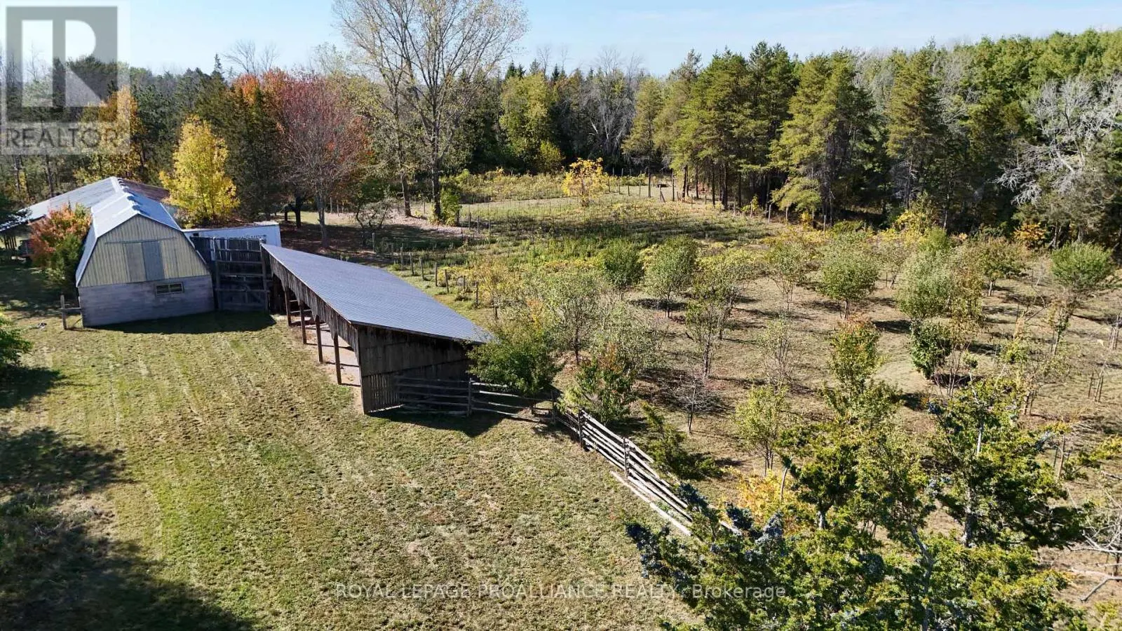 4563 COUNTY ROAD 9