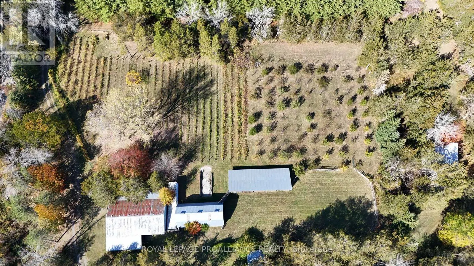 4563 COUNTY ROAD 9