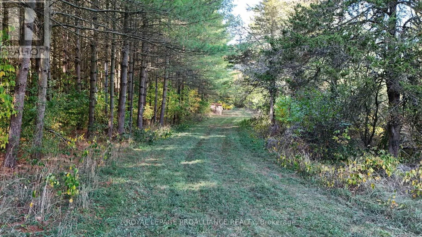 4563 COUNTY ROAD 9